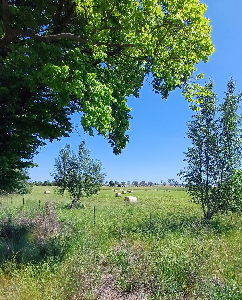 Boorowa Genealogy Service